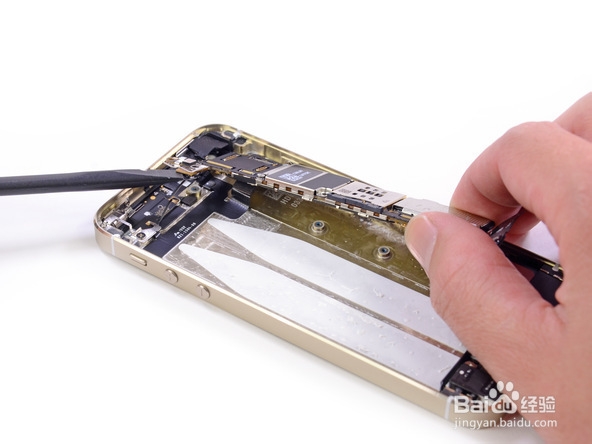 iPhone 5s拆解图