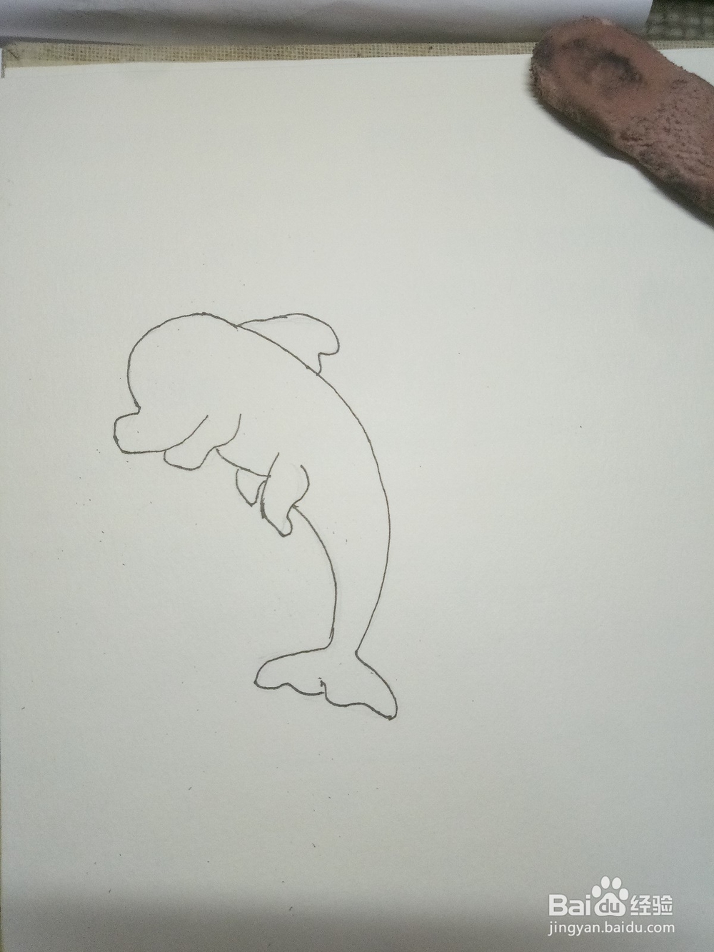怎么画简笔画之海豚