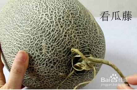 如何买到又香又甜的哈密瓜