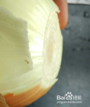 凉拌洋葱木耳怎么做