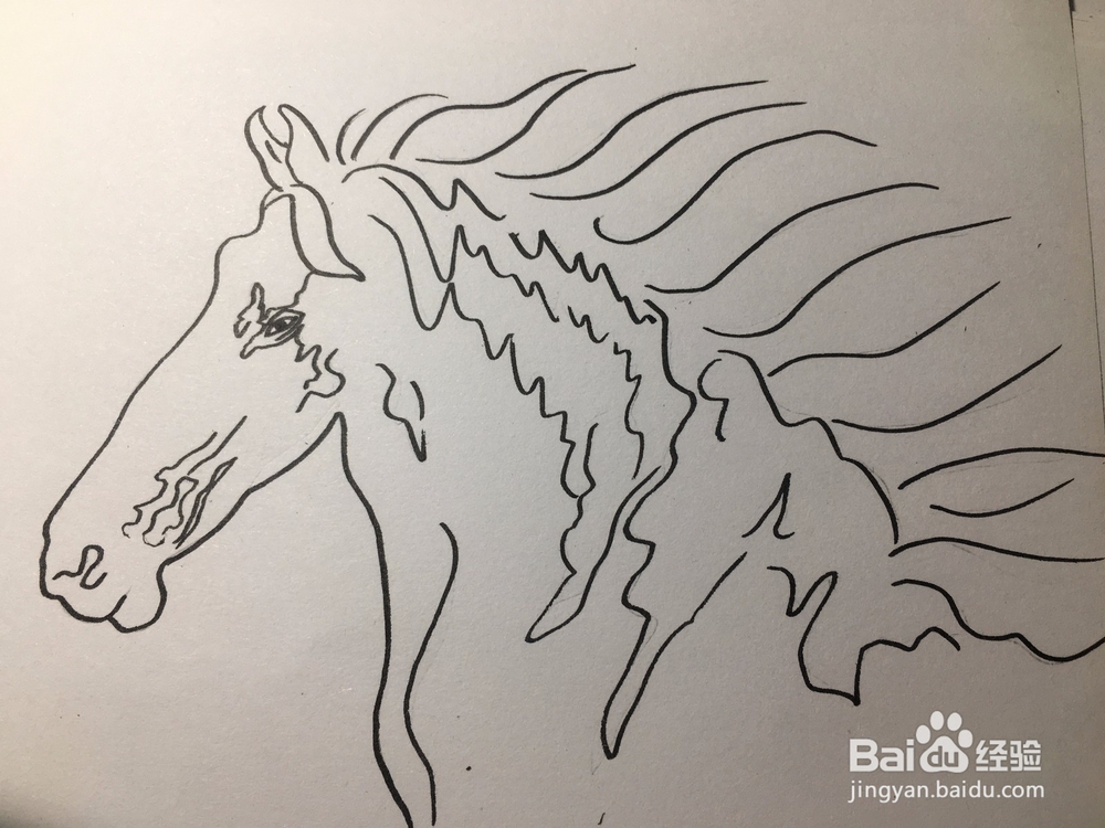 马的简笔画 马的抽象线描画