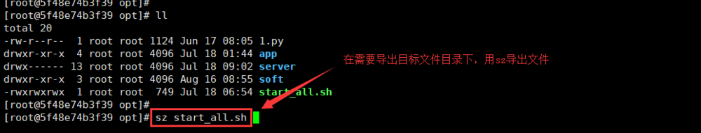 Linux如何导入与导出文件（实践整理）