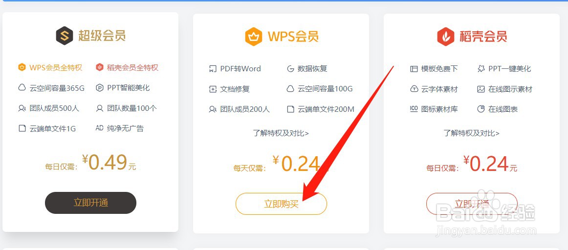 wps会员怎么买一个月