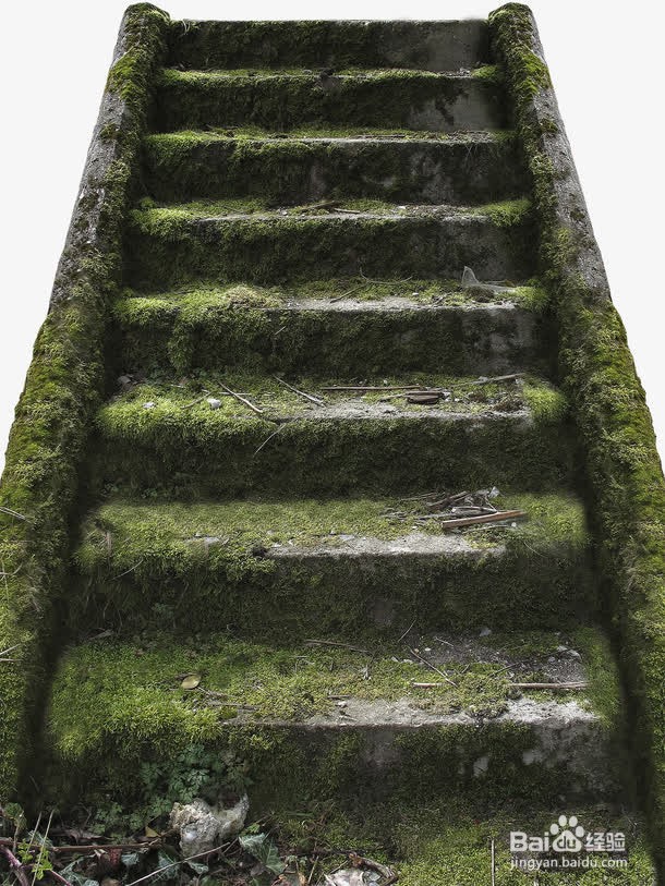 水泥地长青苔有什么办法去掉