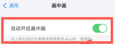 苹果在哪里设置自动开启画中画