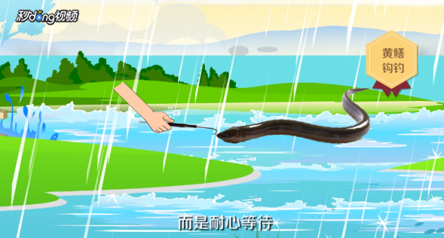 怎样才能捉到黄鳝（怎么才能捉到黄鳝）[图]