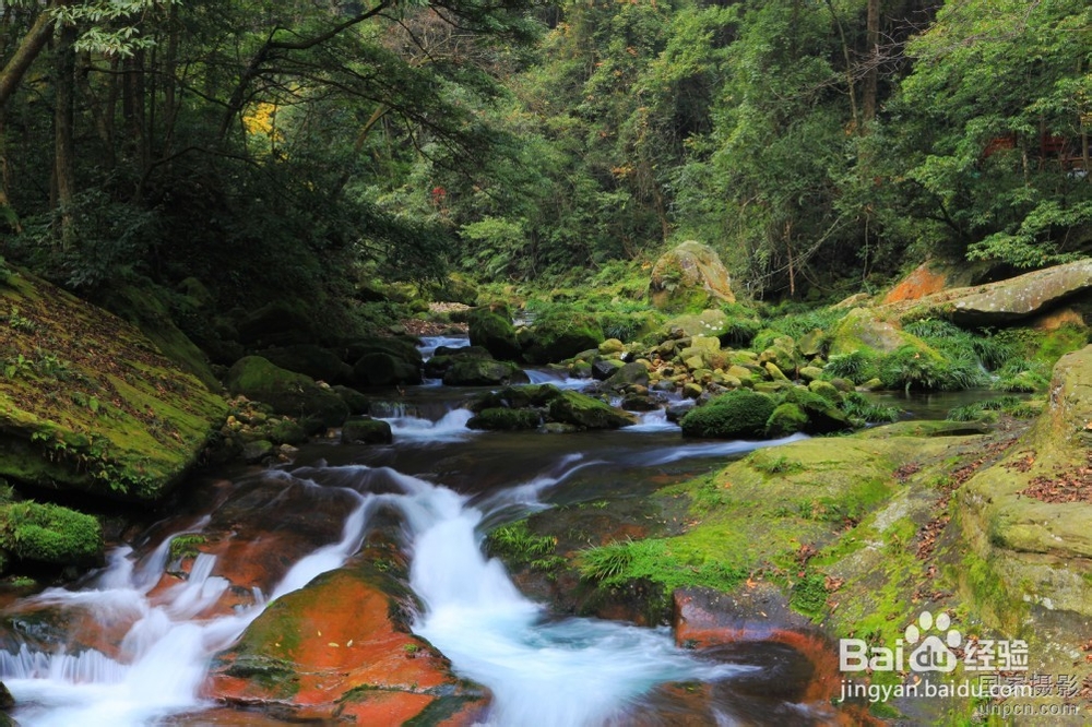 广州到张家界自驾游