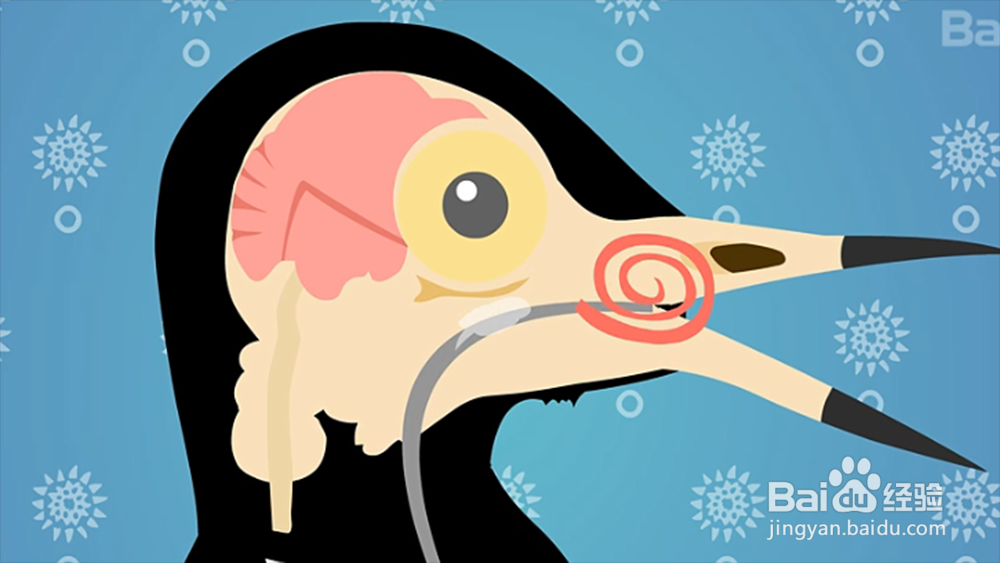 啄木鸟怎么捉虫子