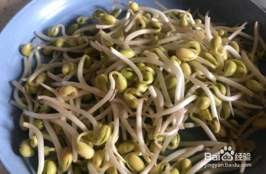 家庭自制海带丝炒豆芽