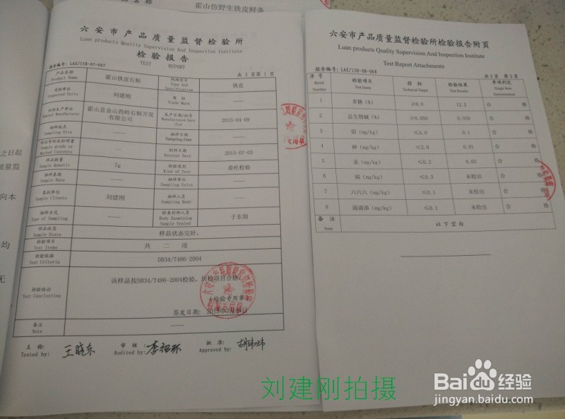 霍山石斛米斛的地方标准是如何规范的