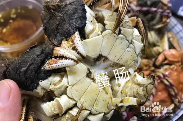 螃蟹哪几个地方千万不能吃?
