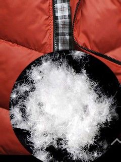 鉴别羽绒服的好坏,如何选购一件好的羽绒服