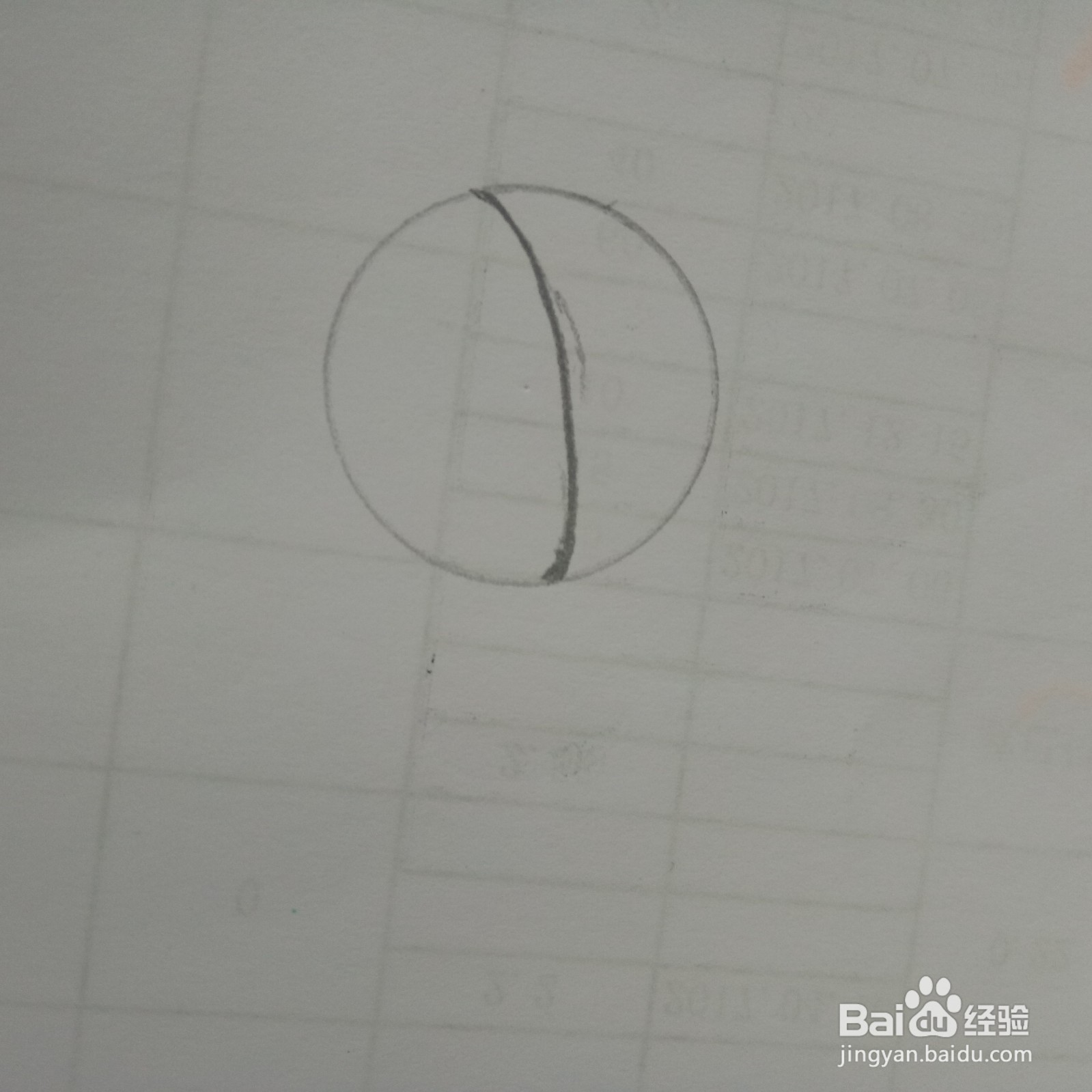 大班简笔画 示范画