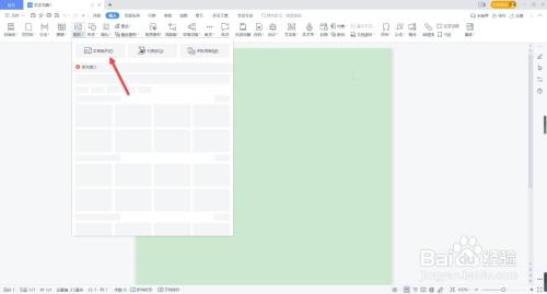 为什么wps里面的图片显示不出来