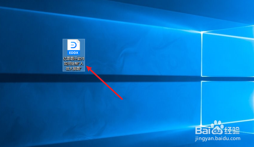 怎么用亿图图示软件绘制“人体大脑图”