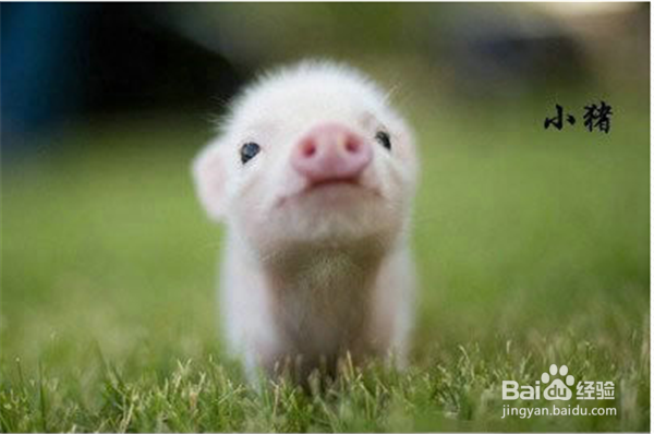 如何提升你的幽默感？