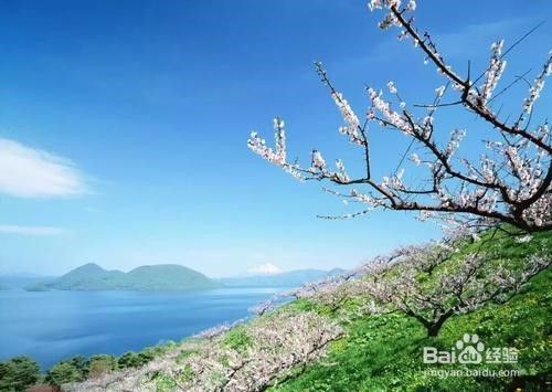 北海道5月旅游攻略 百度经验