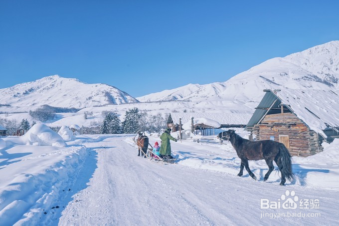 喀纳斯冬季2日畅游雪域,简单畅玩喀纳斯
