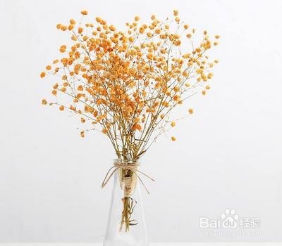 三八妇女节男性可以送什么礼物？