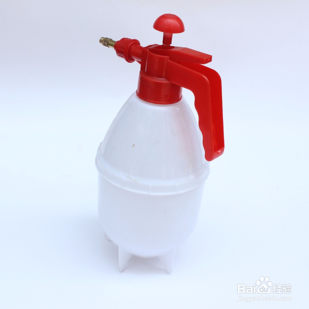 绿萝怎么种植？