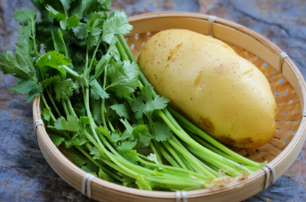 带你做凉拌土豆片