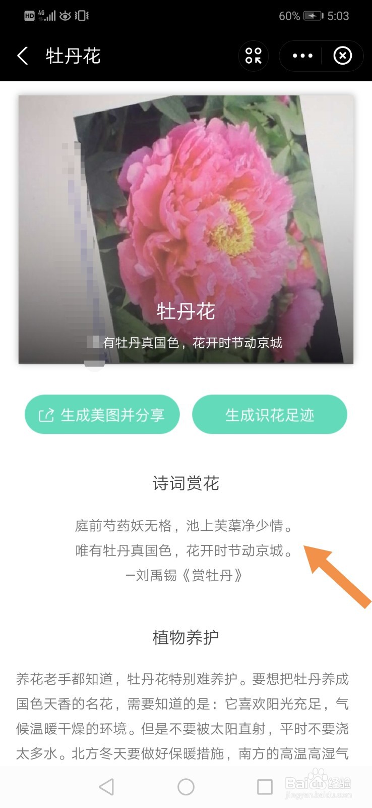 支付宝怎么识别花草