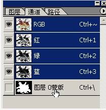 3DSMAX建立复杂路径