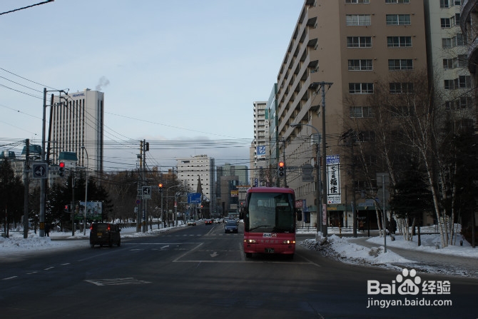 【日本】浪漫冬日 北海道の旅途（四）