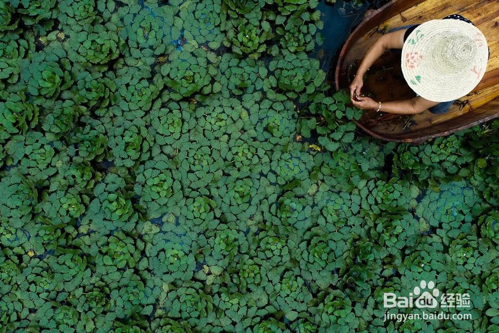 最强中秋出游震泽指南分享！