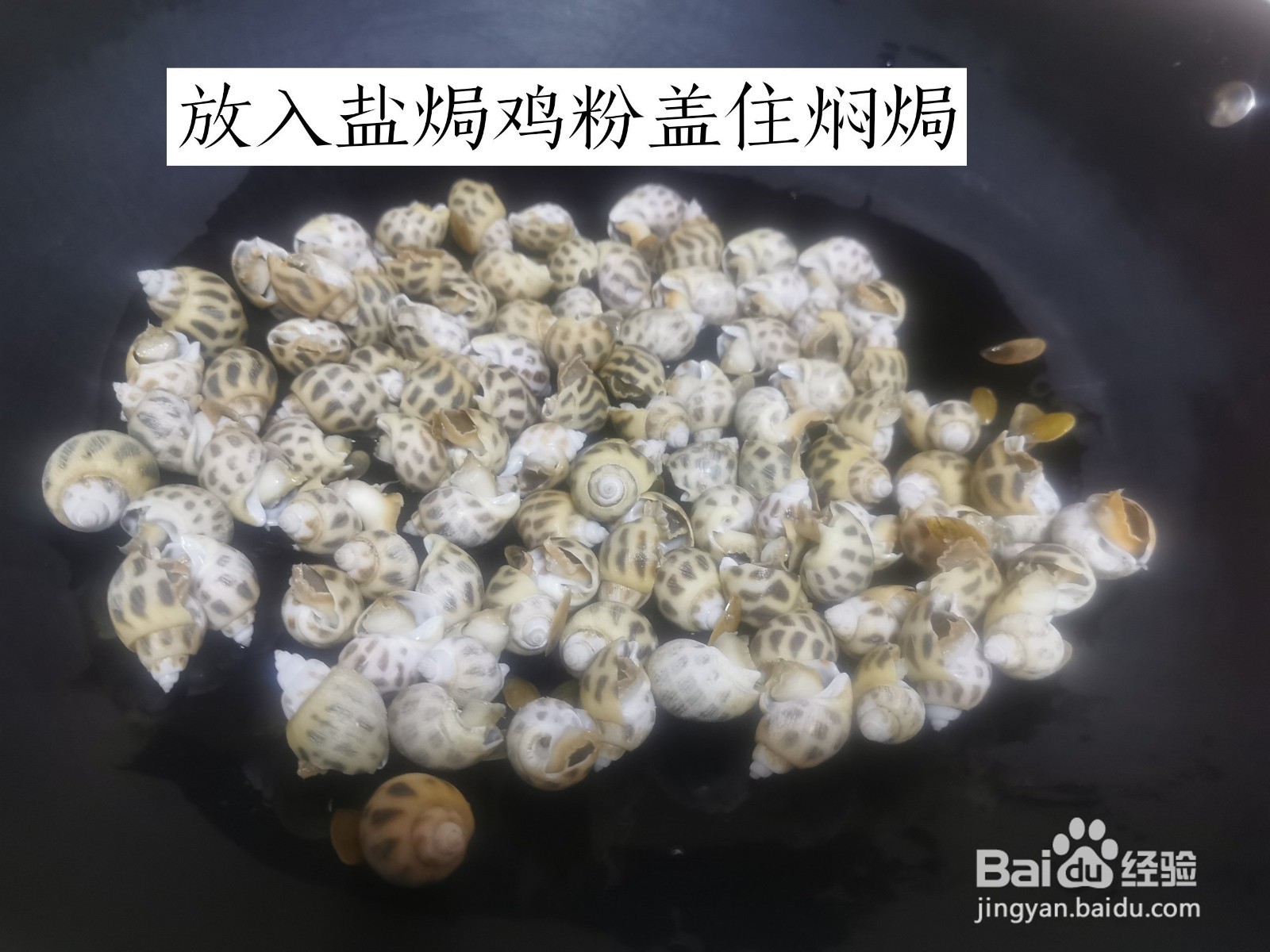 盐焗鲜美花螺