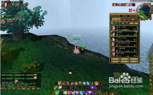 仙禽法定属性以及在战斗中如何使用密技