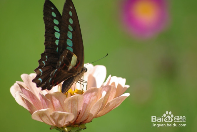 灾难意外面前,如何自救
