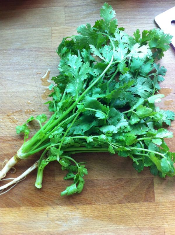 香菜凉拌黑木耳