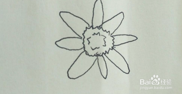 怎样画菊花的简笔画