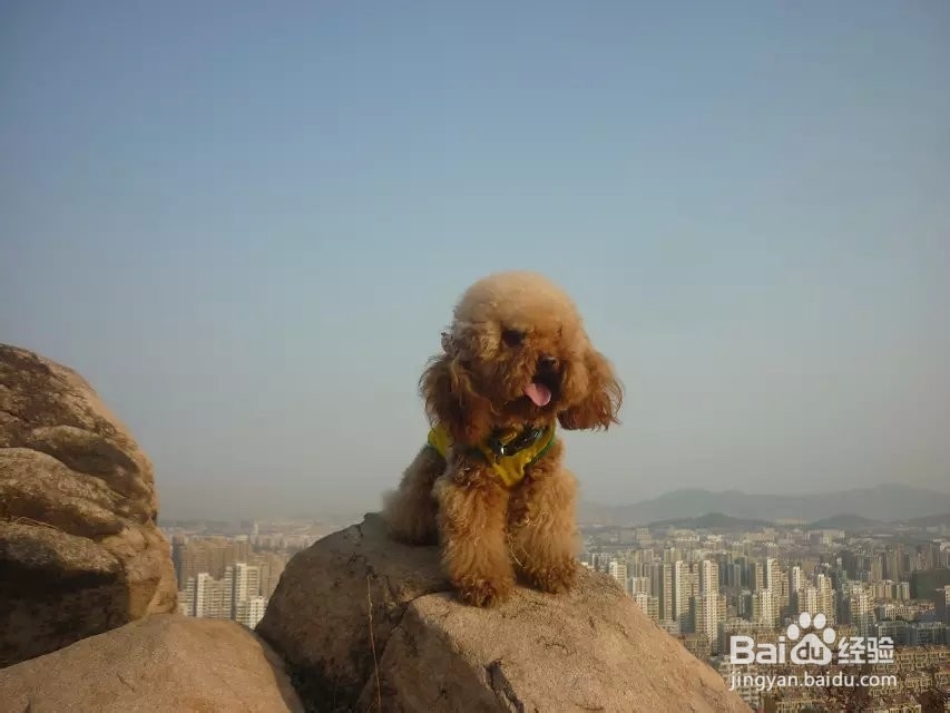 生活中的拍照技巧