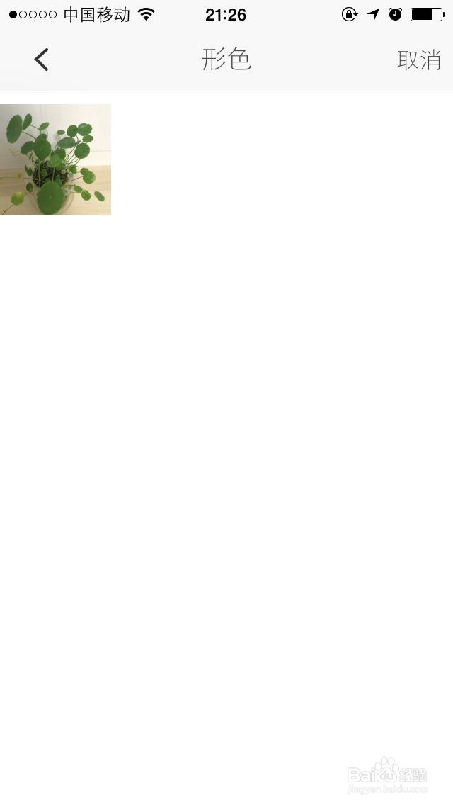 如何用手机鉴别查询植物的名称?