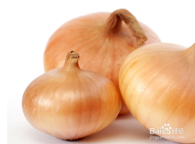 圆葱种植方法与时间植技术