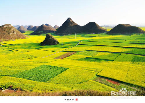 重庆到罗平旅游攻略