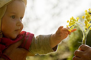 怎样培养孩子求知的勇气？