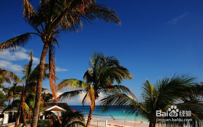 想去巴哈马旅游,有什么旅游攻略呢?