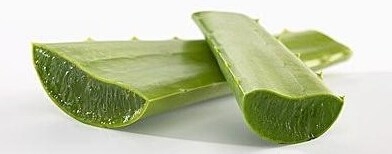 芦荟汁的功效与作用
