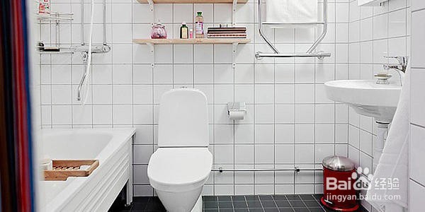 怎样驱除卫生间的小飞虫？