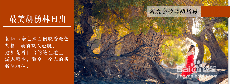 胡杨林旅游攻略:胡杨林+敦煌,金秋小环线