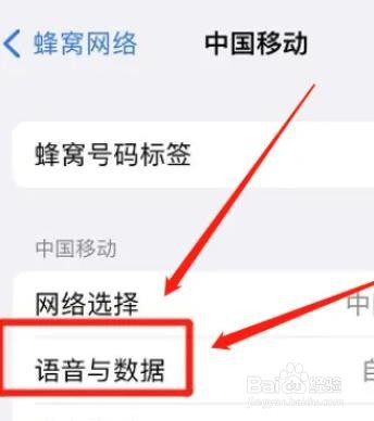 怎么启用苹果独立5G