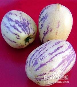 人参果的营养价值及功效 百度经验 人参果的营养价值及功效 百度经验
