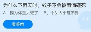 为什么下雨时蚊子不会被雨滴砸死蚂蚁庄园