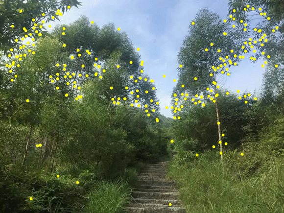 怎么用Mathematica来检测图片的特征点？