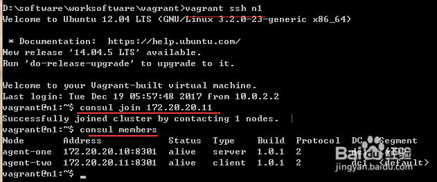 Consul学习之Consul集群_04