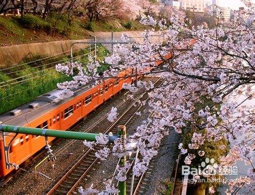 日本东京旅游攻略必备