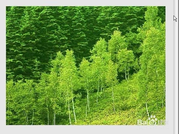 ps调整照片的通道混合器